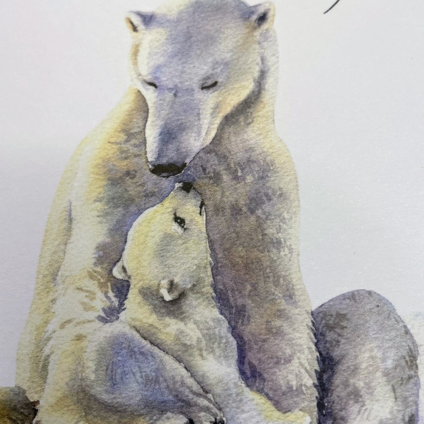 Love you mum polar bears greeting card Cards And Hope Designs   