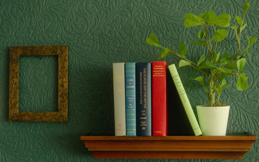 plant and books on wooden shelf against dark green wall