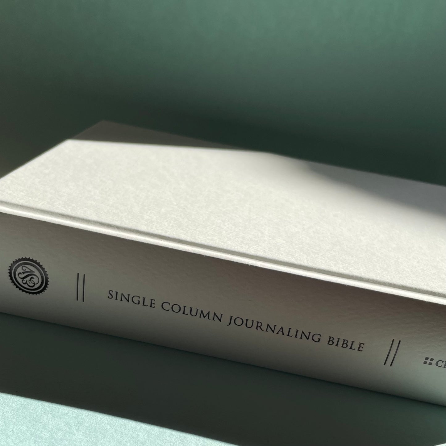 ESV journaling a Bible with Bespoke Painted cover