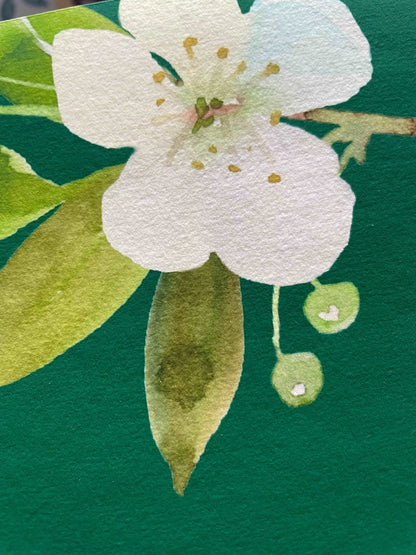 A4 Christian Print - Outdo one another And Hope Designs Print