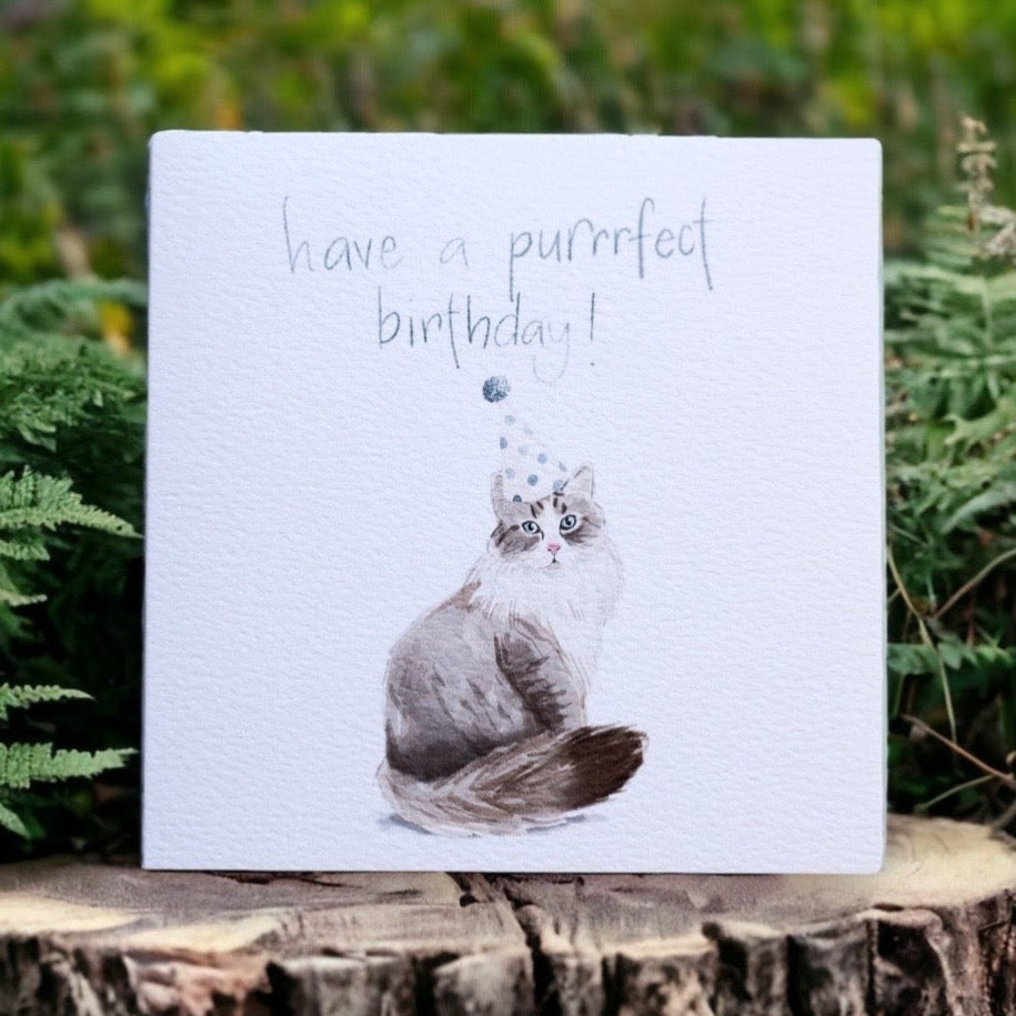 And Hope Designs Cards Cat pun birthday card