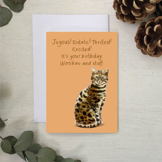 Excited (not) cat birthday card Cards And Hope Designs   