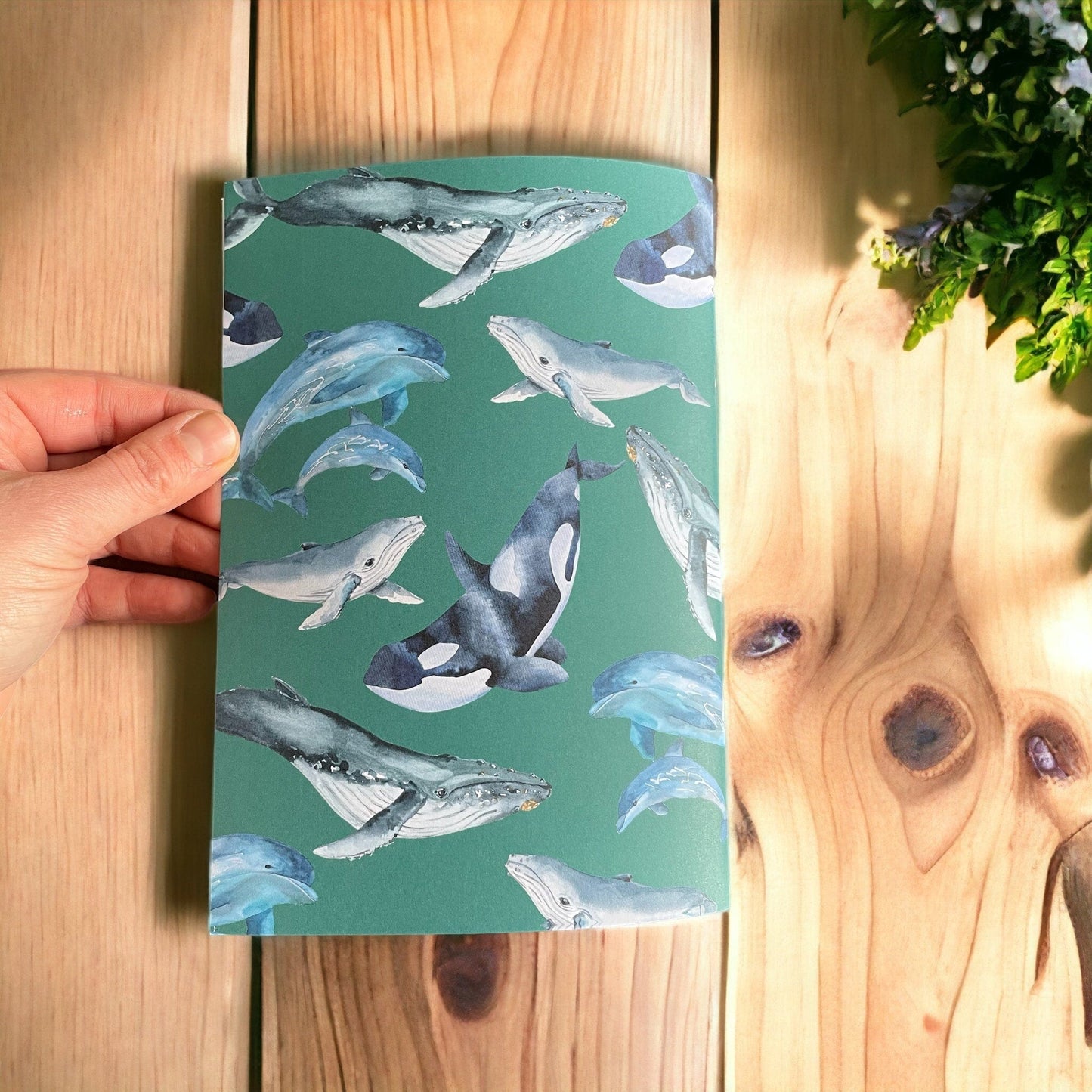 And Hope Designs Notebook Sealife A5 lined notebook