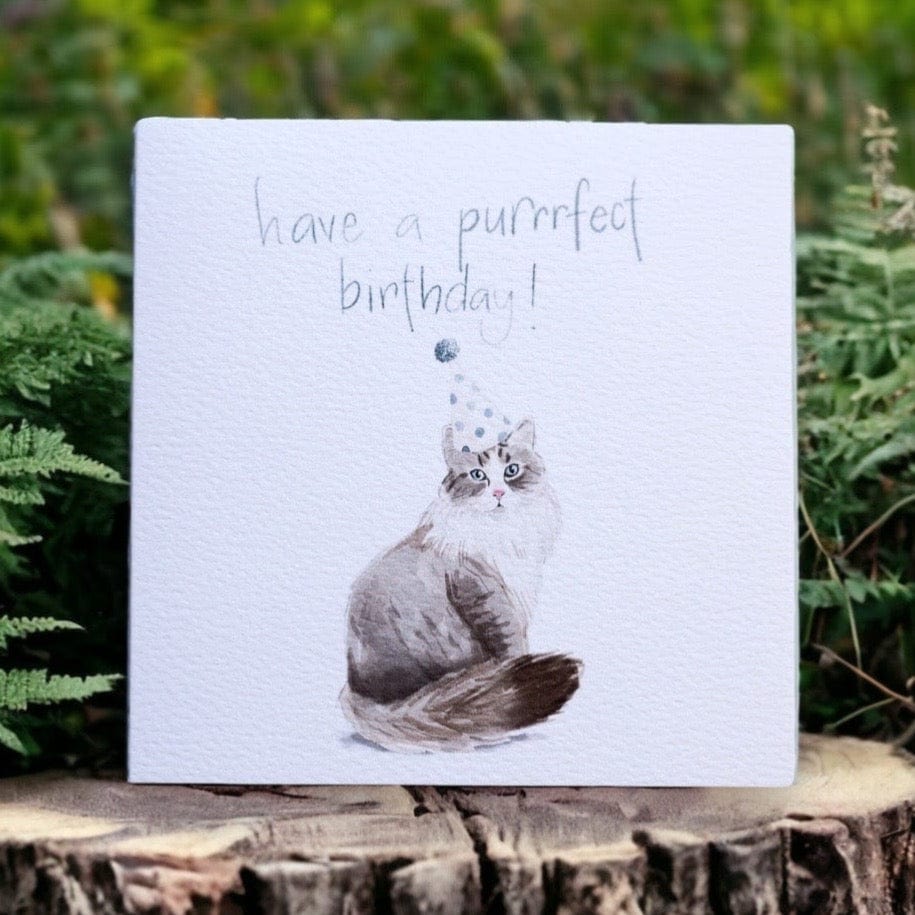 Cat pun birthday card And Hope Designs Cards