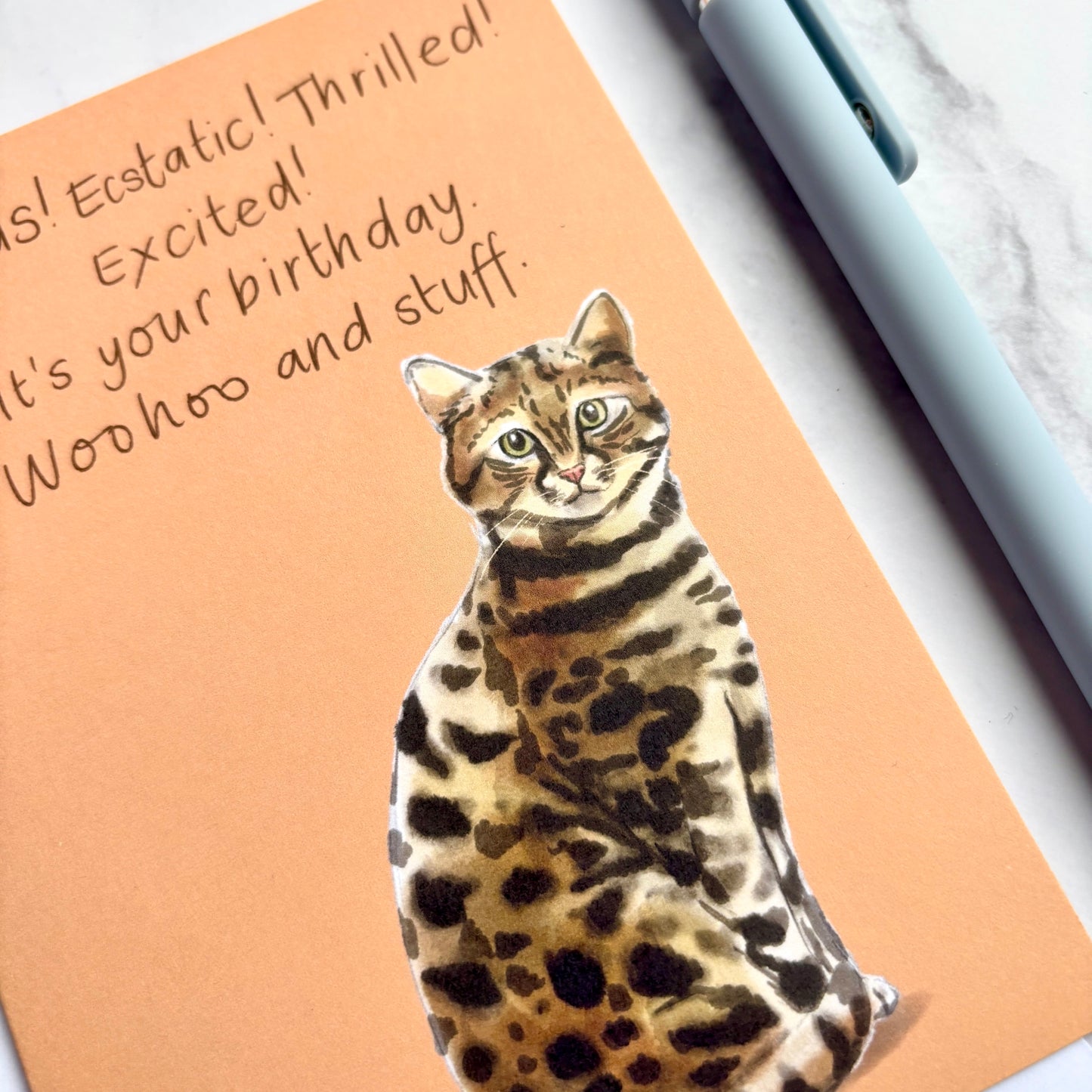 Excited (not) cat birthday card And Hope Designs Cards