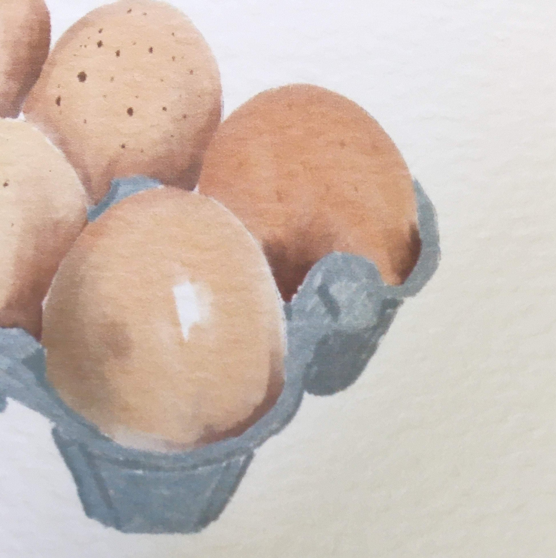 Illustration of eggs in a carton